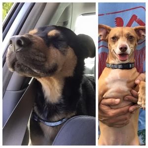 Meet your Posher, Maritza